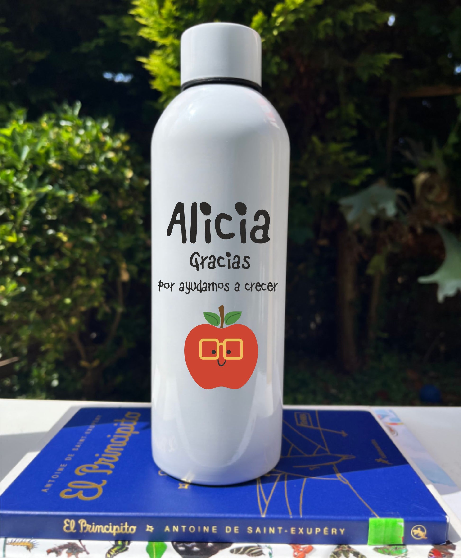 regalo profesor botella personalizada inox