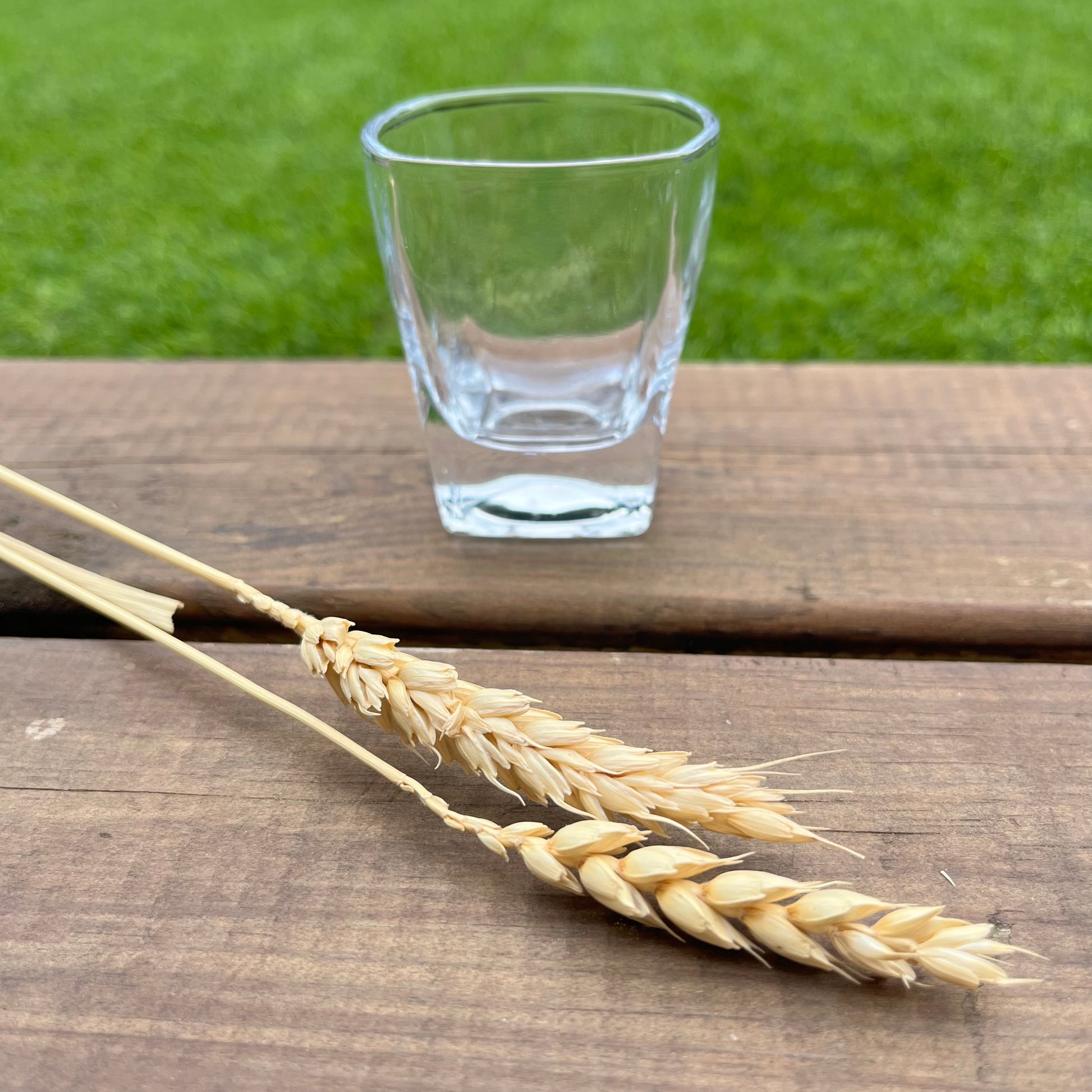 Modelo de vaso de chupitos de 60cc para grabar con láser